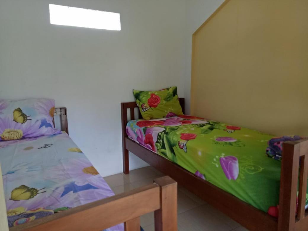 Dannu'S Homestay & Ijen, Bromo, Meru Betiri Sukomade Tours Banyuwangi  Exteriér fotografie