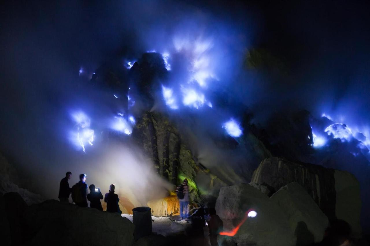 Dannu'S Homestay & Ijen, Bromo, Meru Betiri Sukomade Tours Banyuwangi  Exteriér fotografie