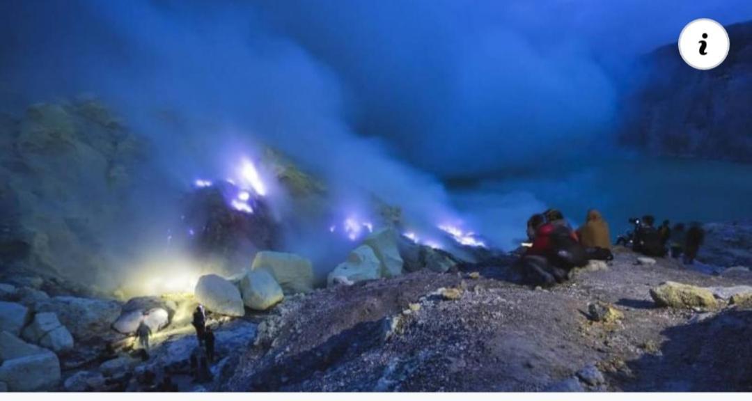 Dannu'S Homestay & Ijen, Bromo, Meru Betiri Sukomade Tours Banyuwangi  Exteriér fotografie