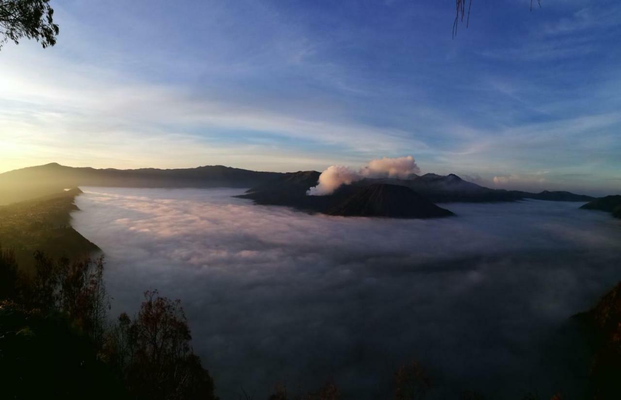 Dannu'S Homestay & Ijen, Bromo, Meru Betiri Sukomade Tours Banyuwangi  Exteriér fotografie